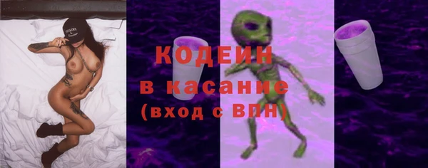 индика Верея