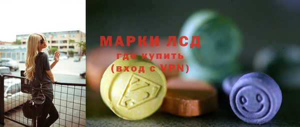 индика Верея