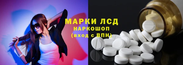 индика Верея