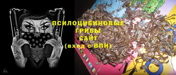 индика Верея