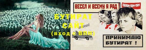 индика Верея
