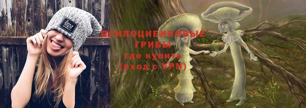 индика Верея